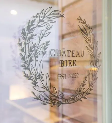 Chateau Biek 公寓 *